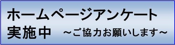 ホームページに関するアンケートフォーム