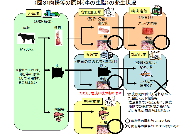 図3肉粉等の原料(牛の生脂)の発生状況